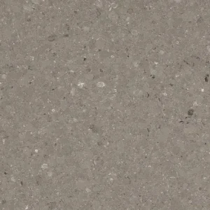 Shitake | Kompositsten