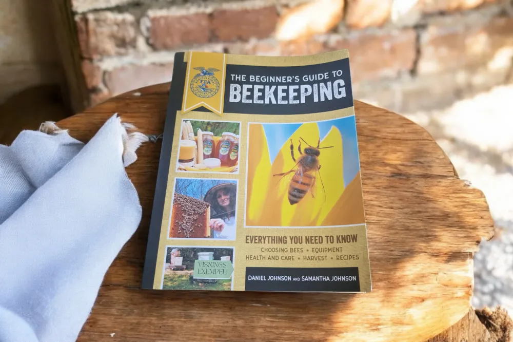 Beginner's Guide to Beekeeping