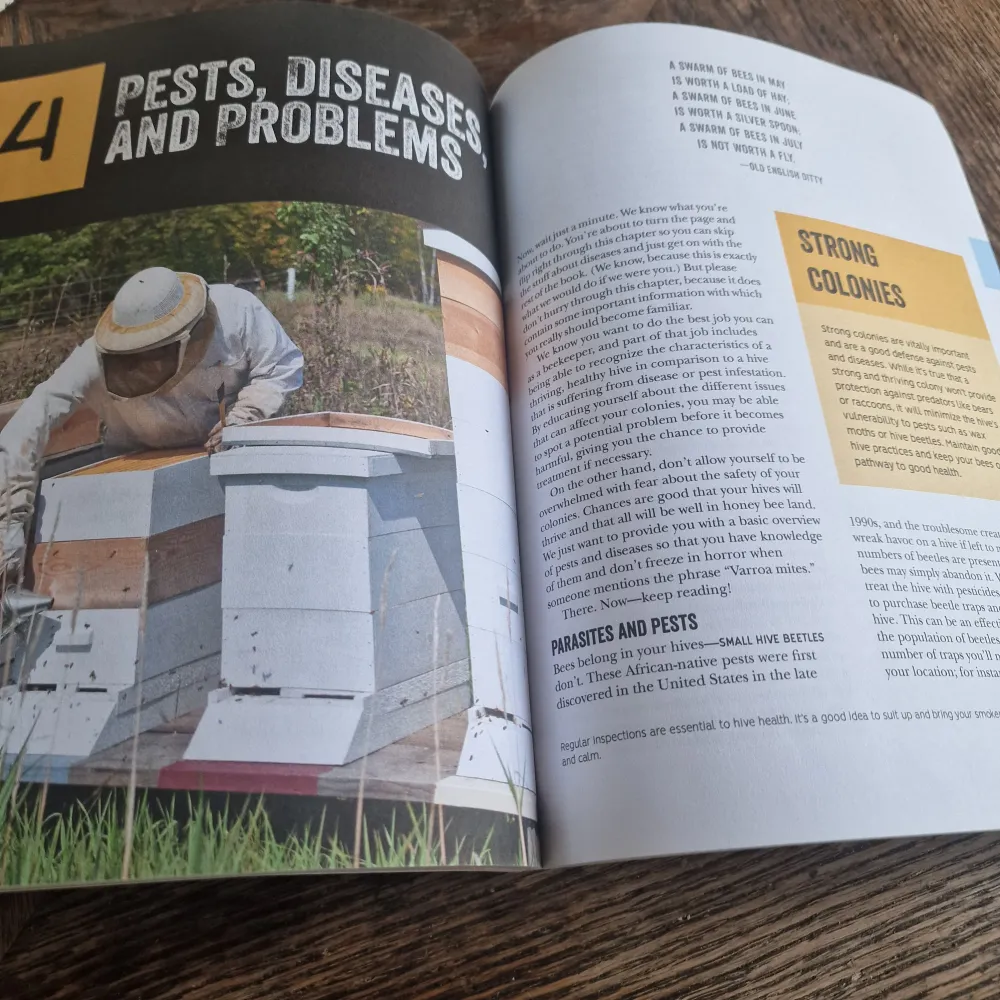 Beginner's Guide to Beekeeping