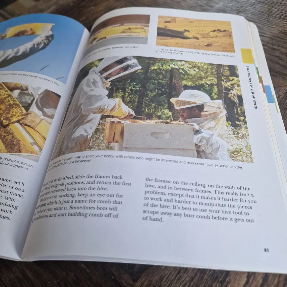Beginner's Guide to Beekeeping