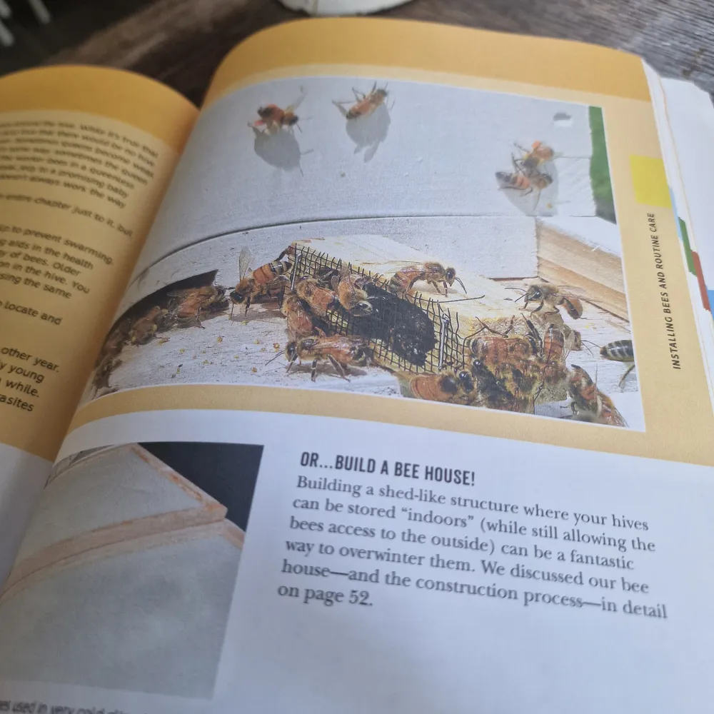 Beginner's Guide to Beekeeping