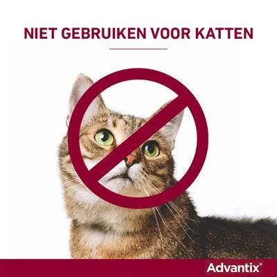 Bayer Advantix spot-on >40 kg – Snabb skydd mot loppor, kvalster och bettande insekter (4 pipetter)