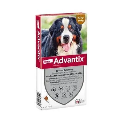 Bayer Advantix spot-on >40 kg – Snabb skydd mot loppor, kvalster och bettande insekter (4 pipetter)