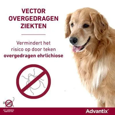 Bayer Advantix spot-on >40 kg – Snabb skydd mot loppor, kvalster och bettande insekter (4 pipetter)