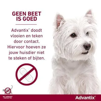 Bayer Advantix spot-on >40 kg – Snabb skydd mot loppor, kvalster och bettande insekter (4 pipetter)