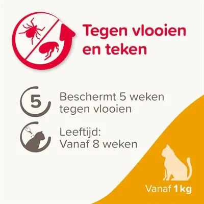 Beaphar Fiprotec Katt – 4 pipetter – Mot loppor och fästingar – Från 1 kg och 8 veckor