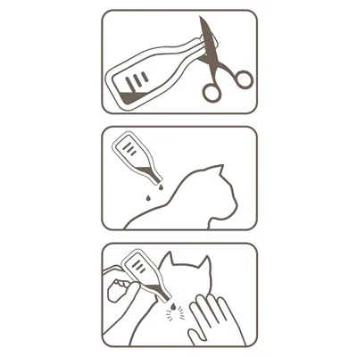 Beaphar Fiprotec Katt – 4 pipetter – Mot loppor och fästingar – Från 1 kg och 8 veckor