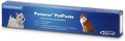 Panacur pasta – Ett bredverkande avmaskningsmedel, även mot Giardia (katt & hund)