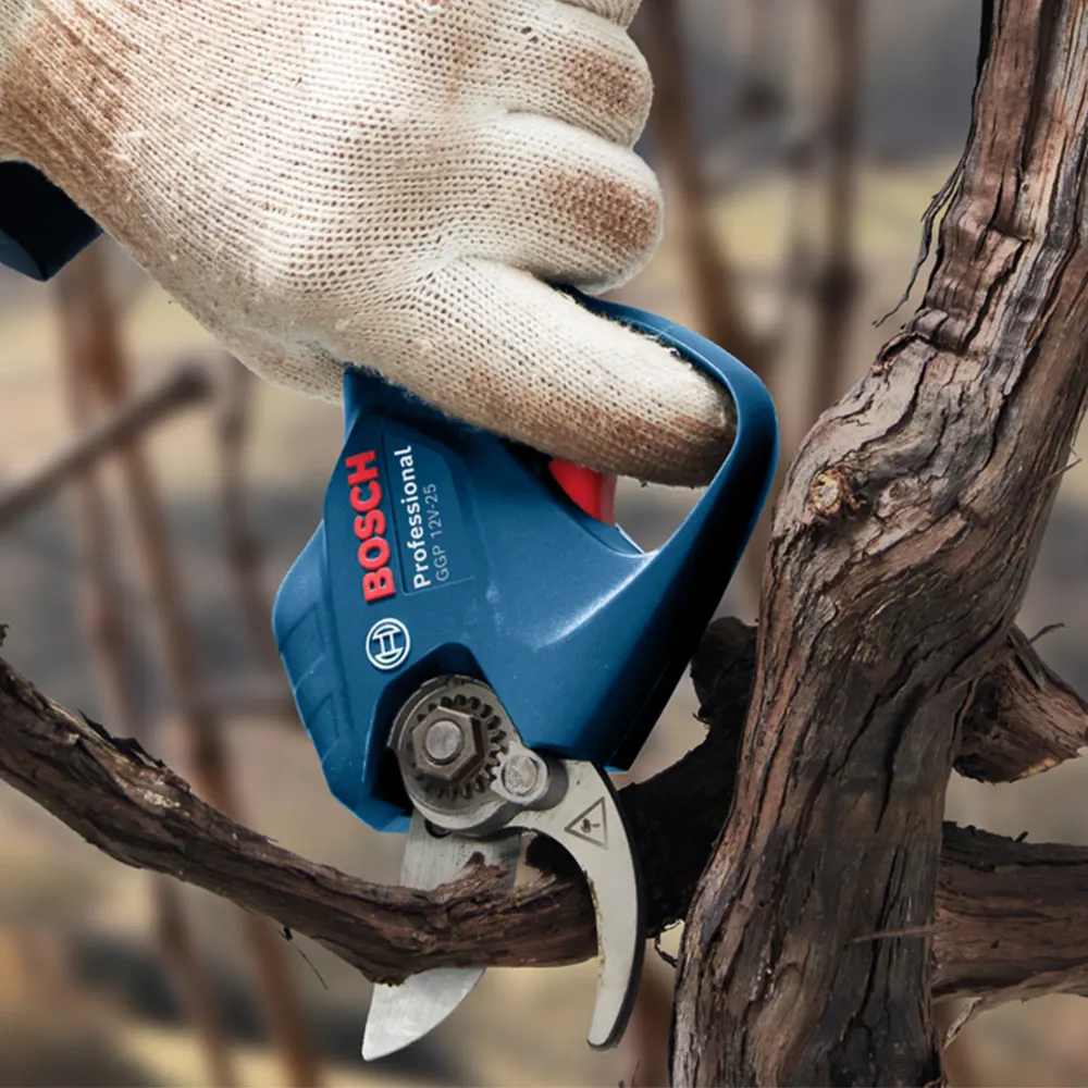 Bosch GGP 12V-25 3Ah Sektionssåg