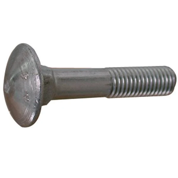 Vagnsbult 10 x 100 A4 DIN 603-4 2st.
