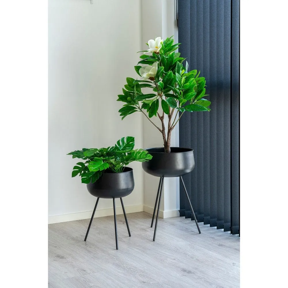 House Nordic Blomkruka Ardola double-set