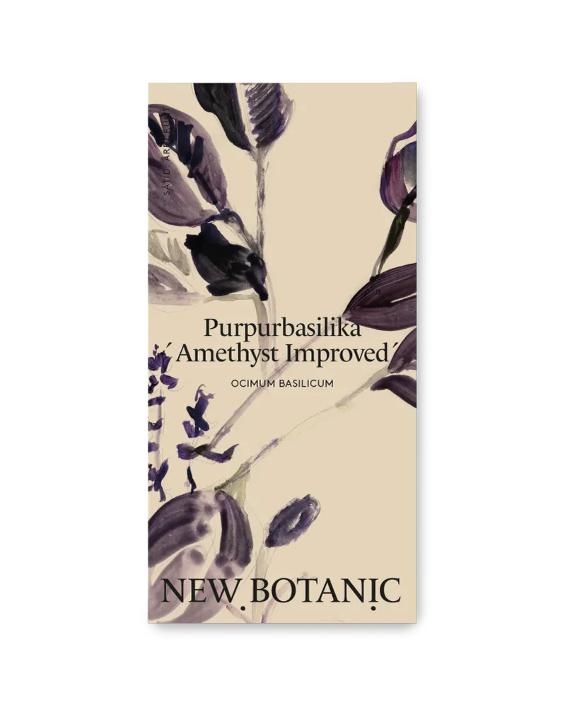 Tryckimpregnerad Purpurbasilika 'Amethyst improved' - inomhusodling