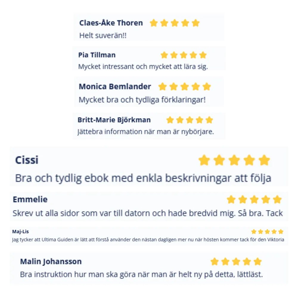 Den Ultimata Guiden till Cricut Design Space (Ebok)
