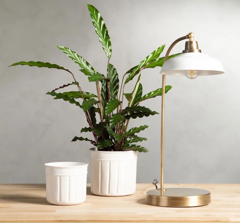 Bordslampa NOA emalj offwhite 52cm