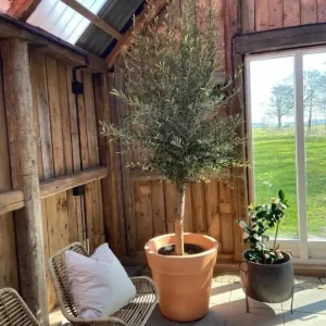 Spacious Kruka Lira Elite - diameter 50 cm Dove