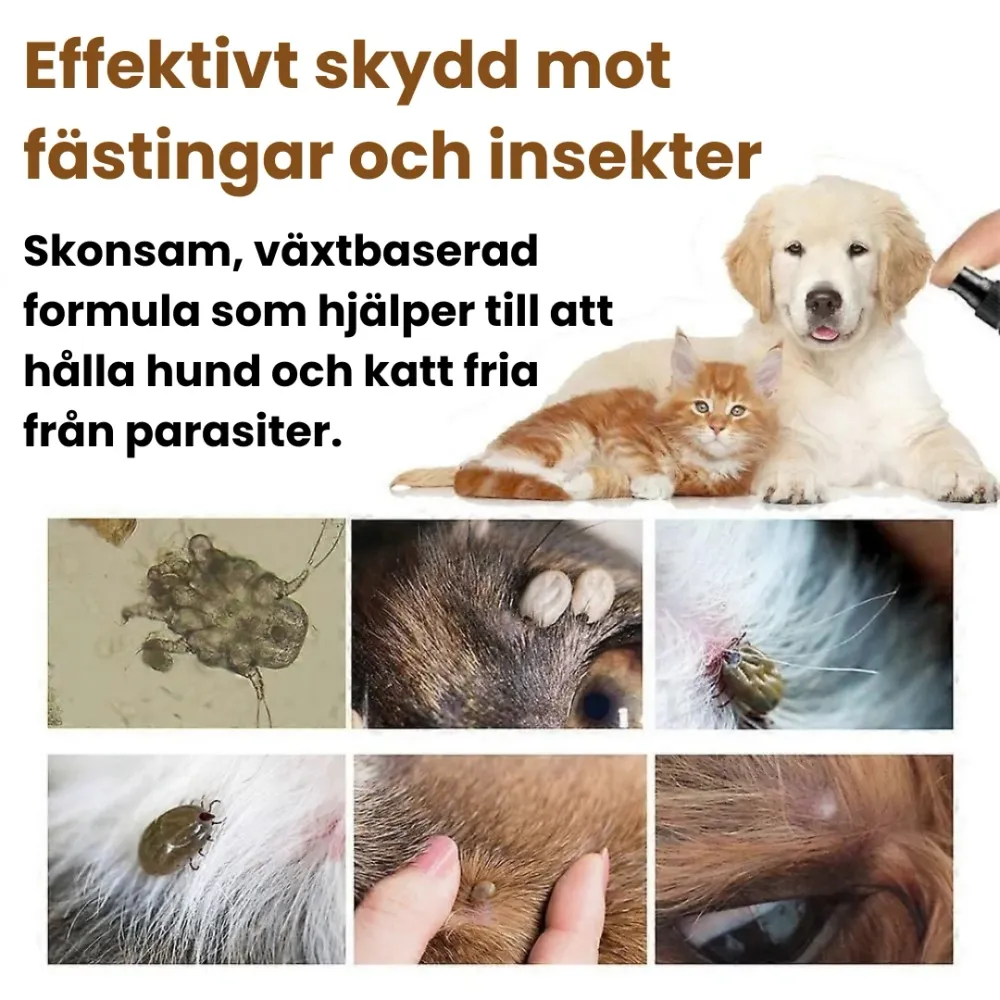 Fästingspray för hund och katt