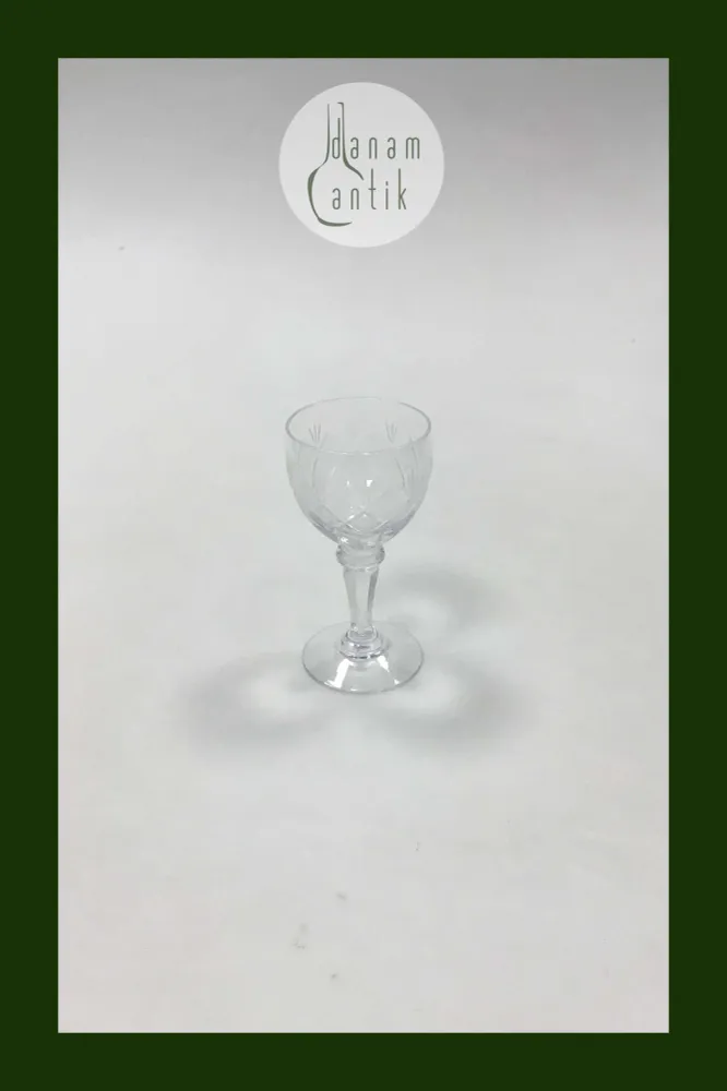 Holmegaard Christiansborg Snapseglas