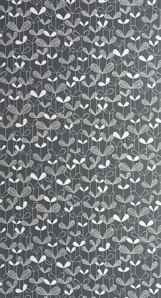 Midbec Saplings Graphite - MISP1261
