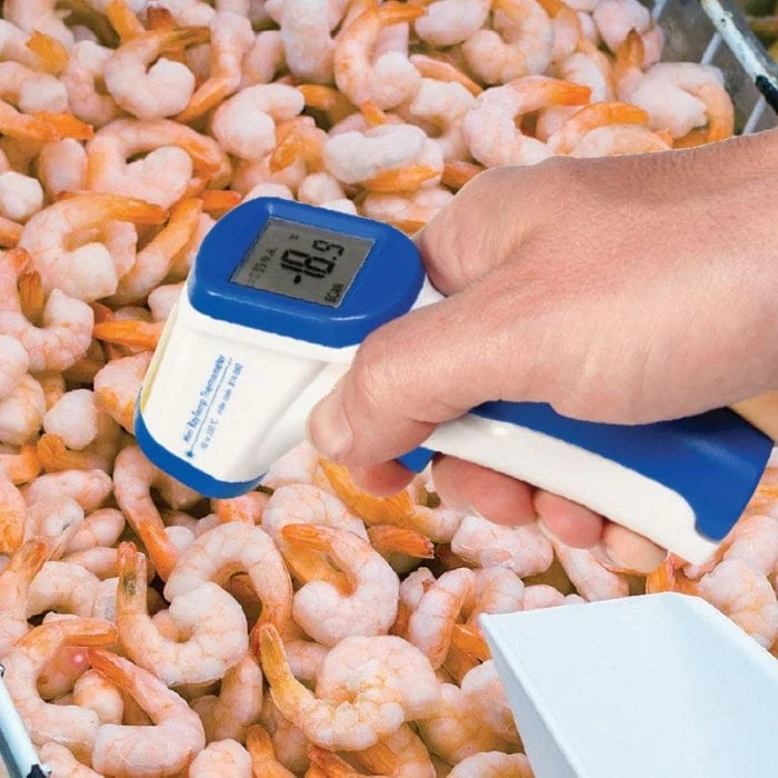 Mini Raytemp®