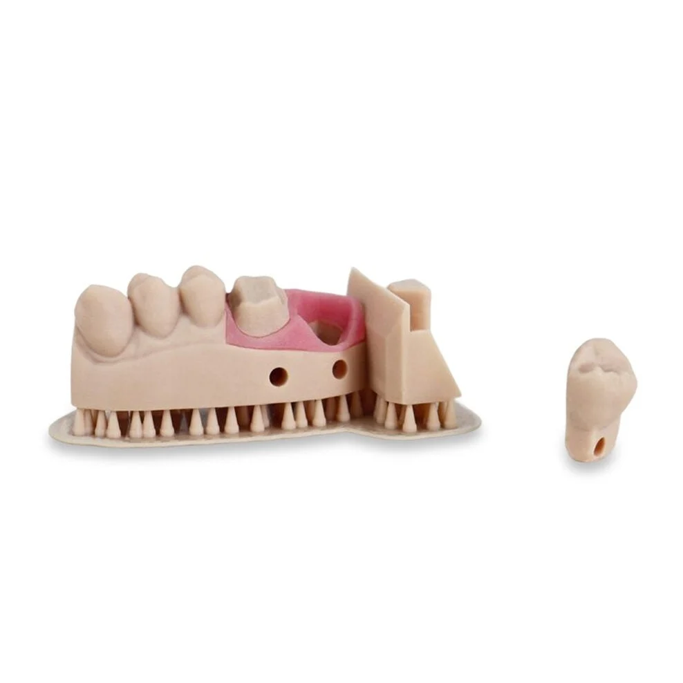 Liqcreate Dental Modell Pro Beige