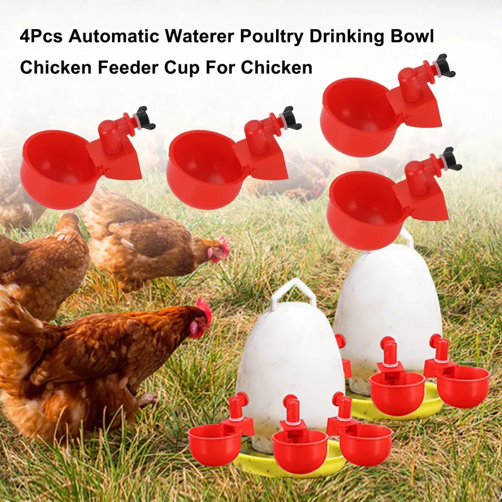 4st Automatic Waterer fjäderfä Drinking Bowl Chicken Feeder Cup för kyckling