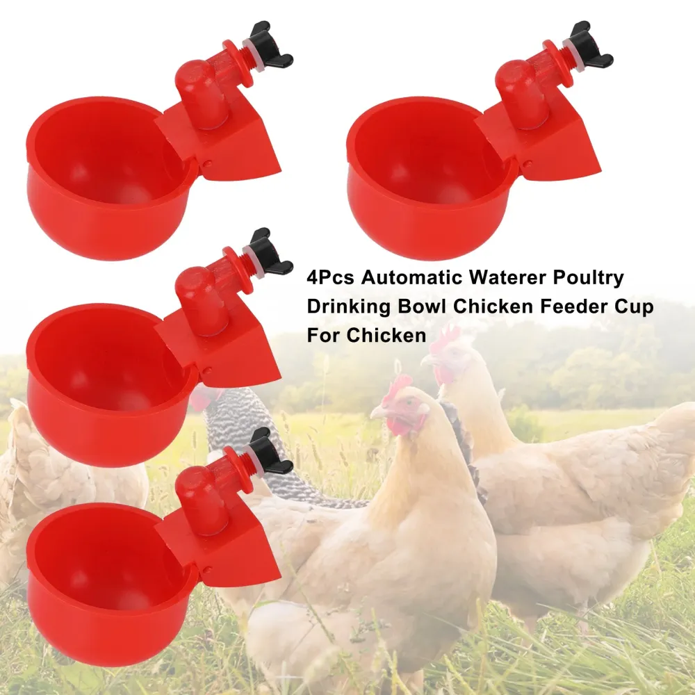 4st Automatic Waterer fjäderfä Drinking Bowl Chicken Feeder Cup för kyckling