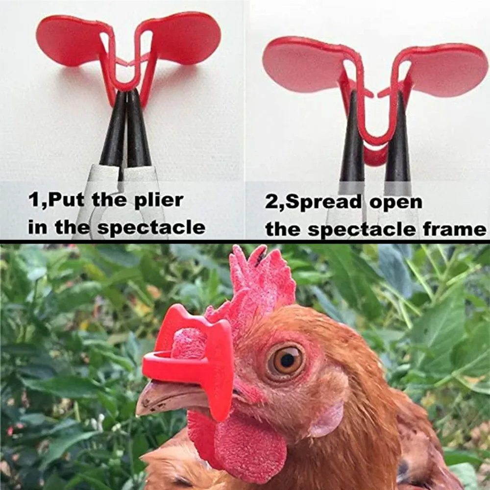 24 bitar fasanfjäderfä & Kycklingskygglappar med tång Peeper Vision Blocker