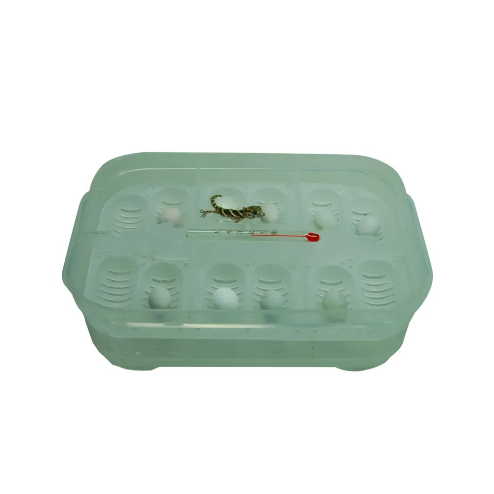Lucky Reptile HatchBox