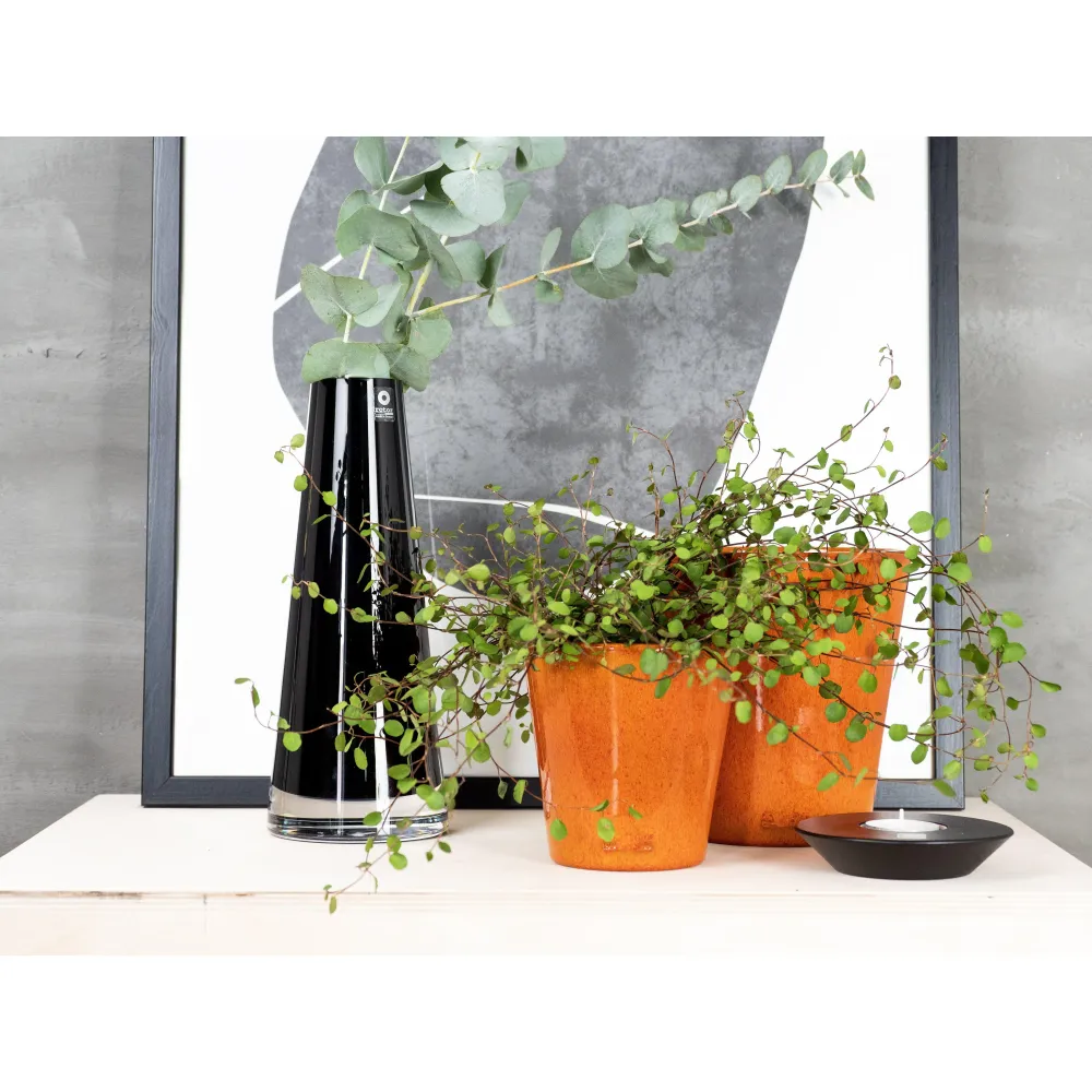 Glasvas Etage-svart