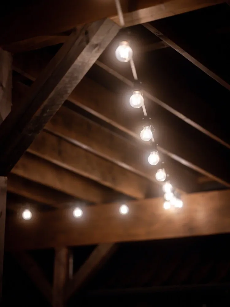 Dagsljusvit Bright fjäderlätt Pkt inkl. clear bulbs
