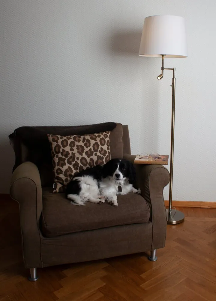 Utomhusklassad Orlando golvlampa antik/beige