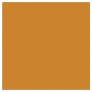 Promark Raw Sienna O646