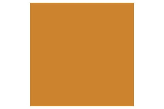 Promark Raw Sienna O646