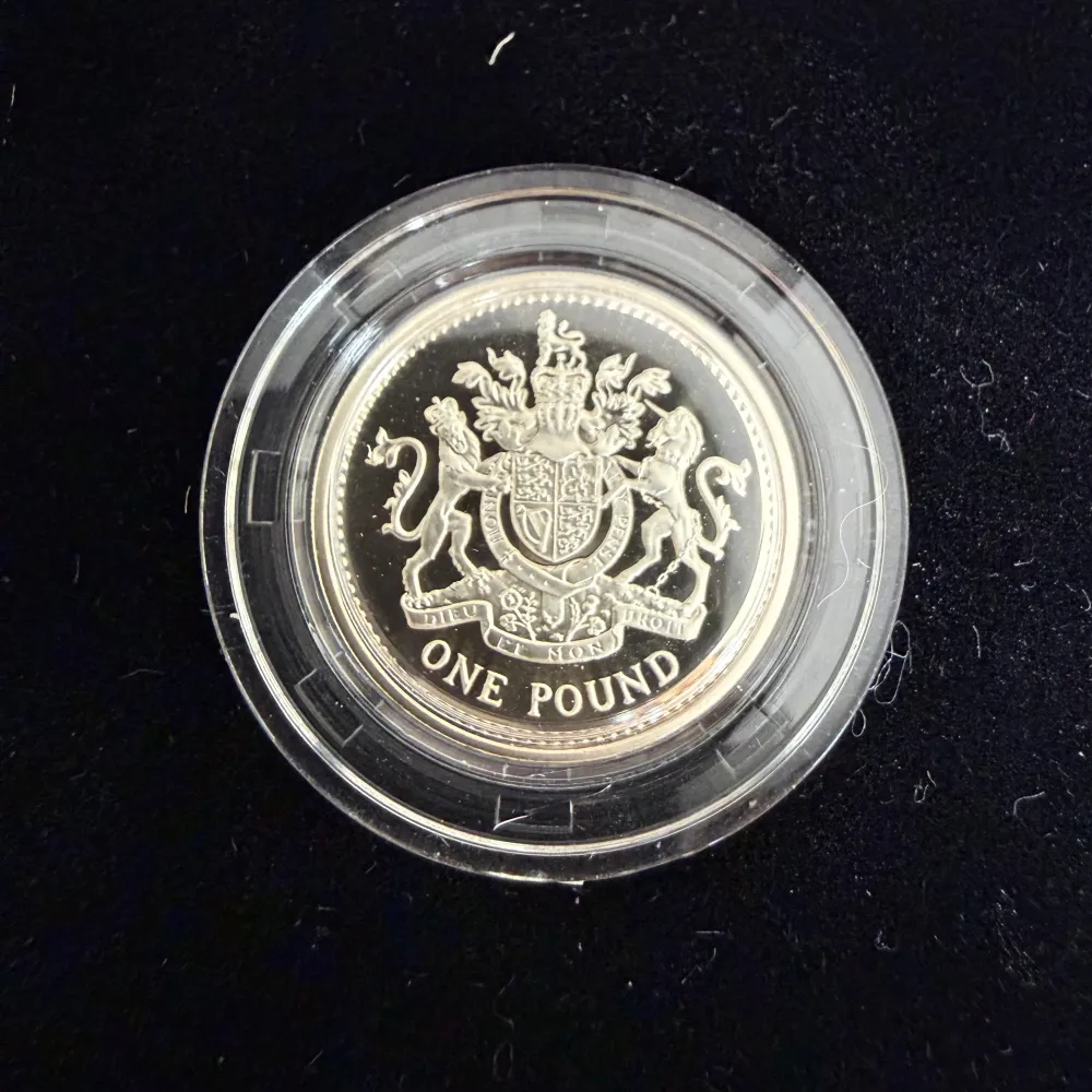 1 Sterling Silver Mynt 1993 Royal Mint