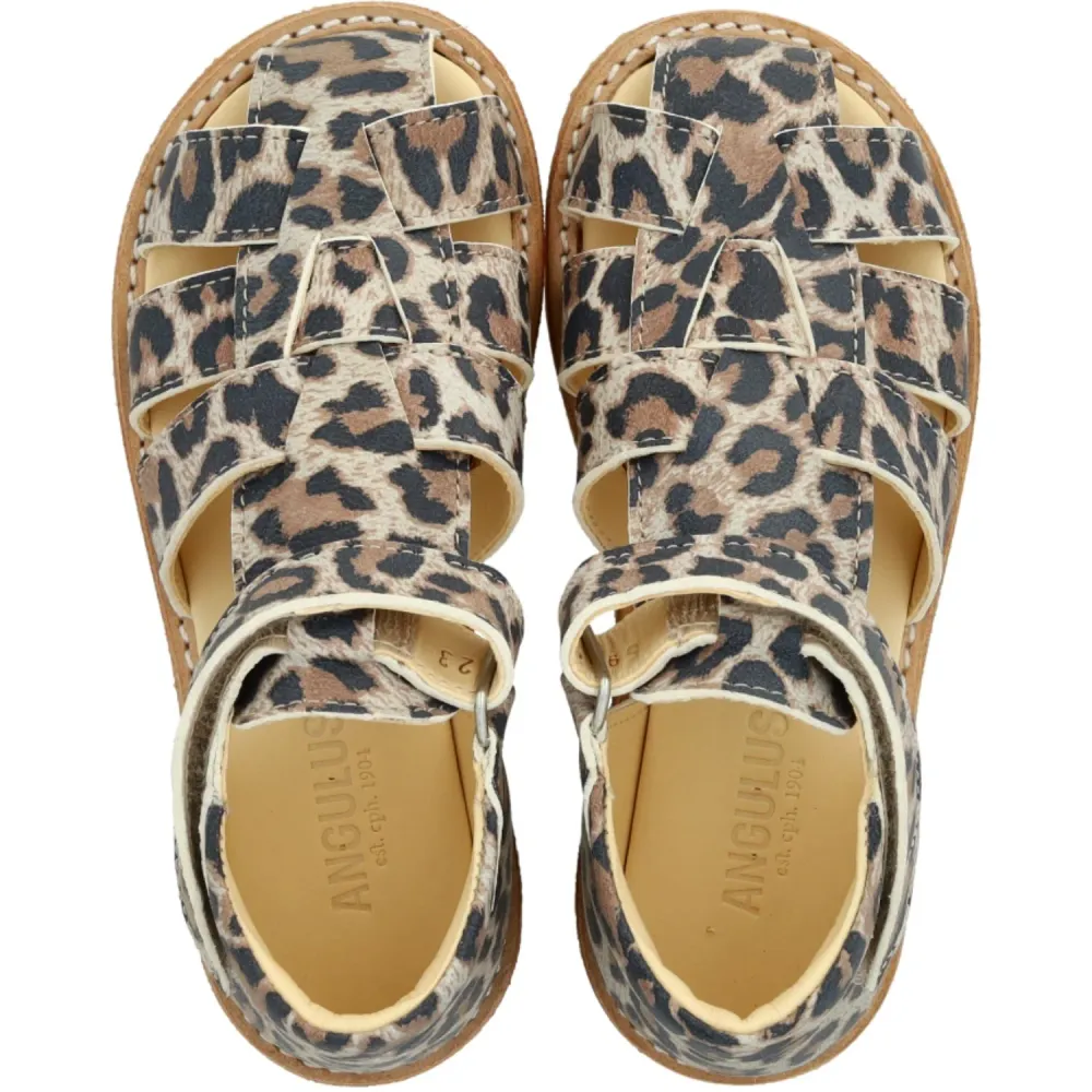 Angulus Leopard nubuck Börjar Sandal Med Kardborrebandlukning 20