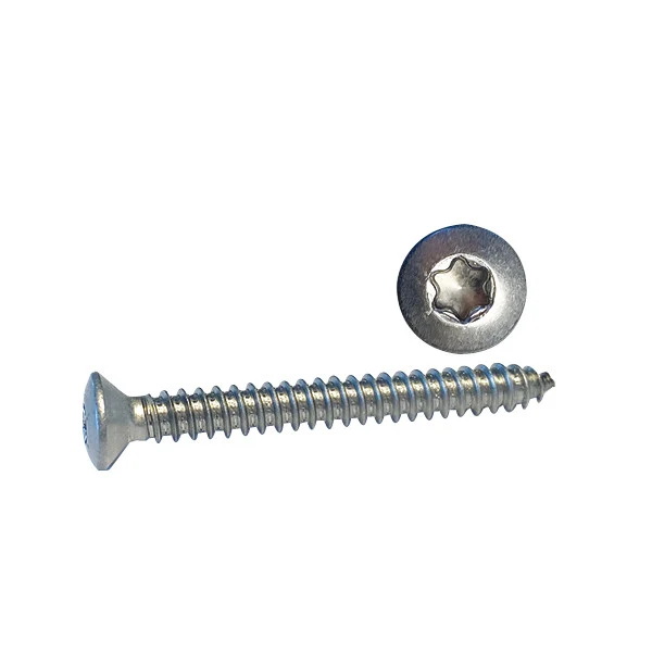 Självgängande skruv kullerförsänkt Torx TX30 6,3x38 A4 ISO14587 6 st