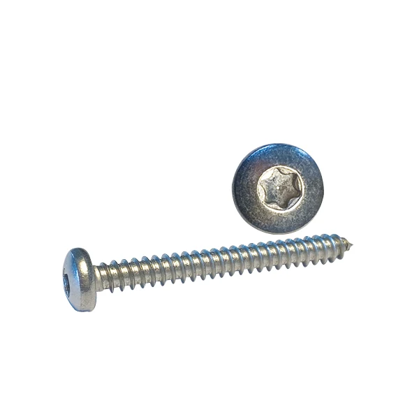 Skruv Cylinderhuvud 4,2 x 13 a4 Torx-spår ISO14585 100st.