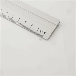 Supermagnet 2x1 mm, Skiva