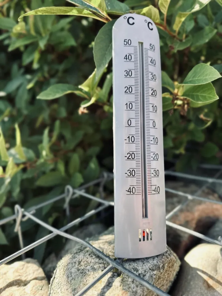 Termometer – Grå