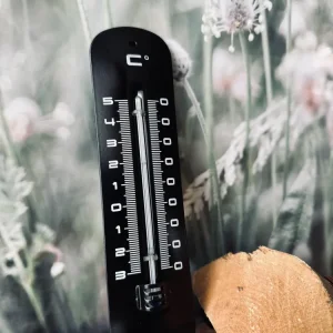 Termometer – Svart