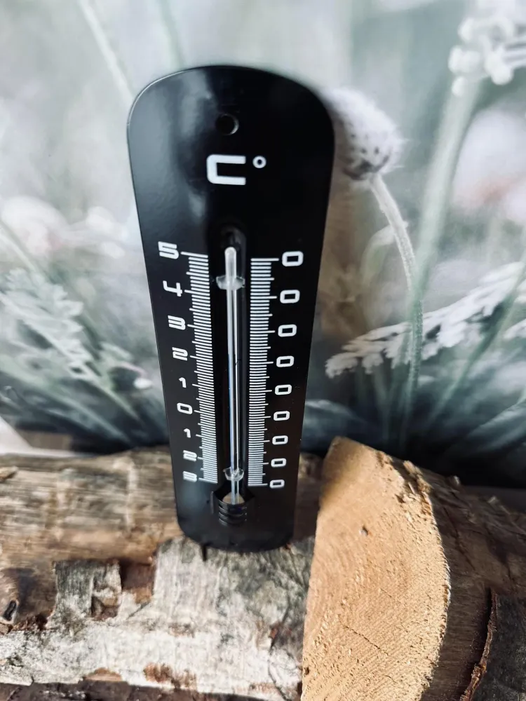 Termometer – Svart