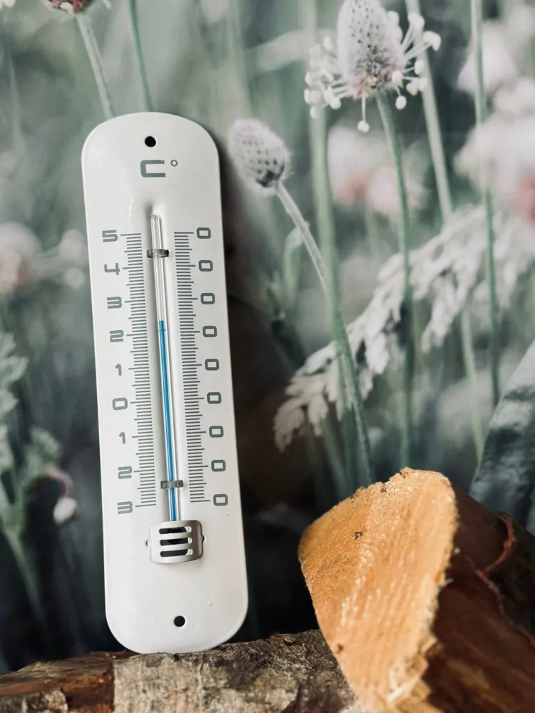 Termometer – Vit