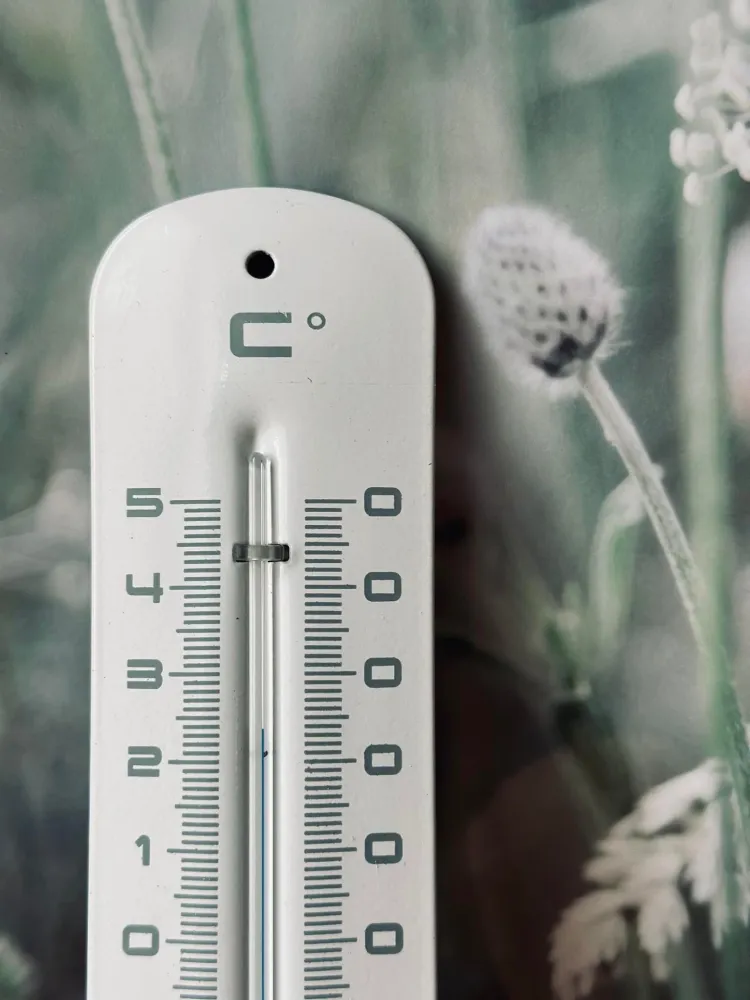 Termometer – Vit