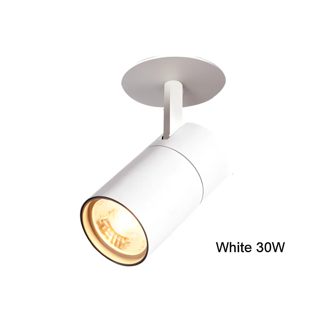 CylindraBright Spotlights - Svarta och Vita LED-inbyggda taklampor Svart