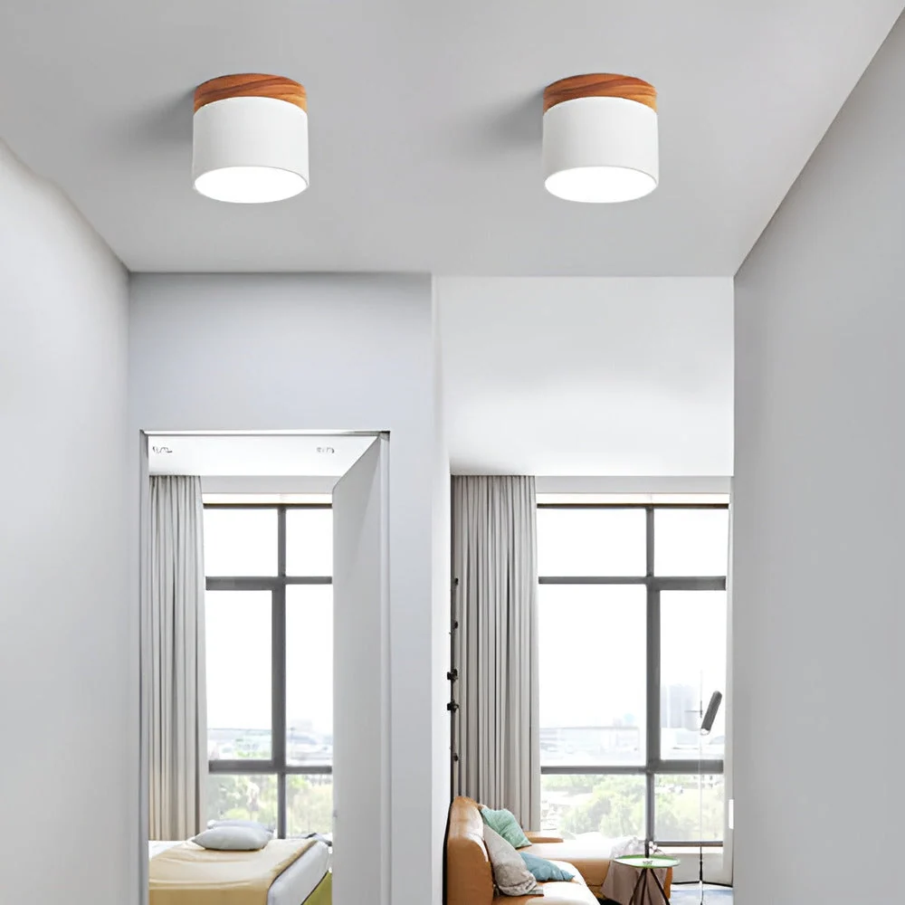 PastelGlow – Färgglad Cylinder Taklampa med Gammaldags Minimalism Svart