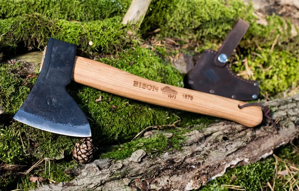 Bison 1879 jaktyxa