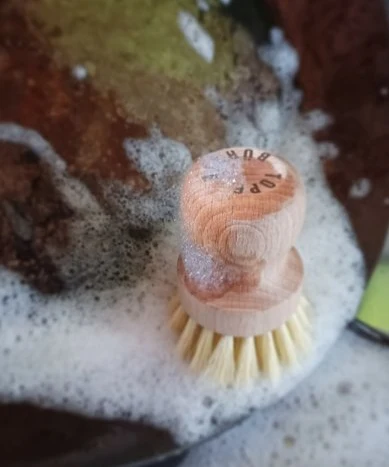 Bokträ koppborste