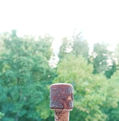Flaskkork med bark