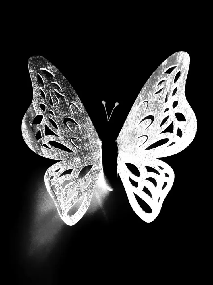 244 "Butterfly" 30x40cm