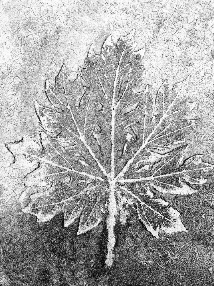 340" Leaf" 30x40cm